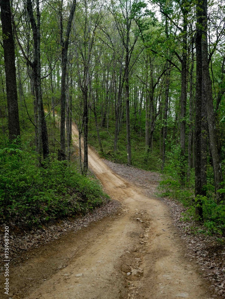 Obraz premium Steep Off roading Dirt road in Hatfield Mccoy trail system in West Virginia in springtime