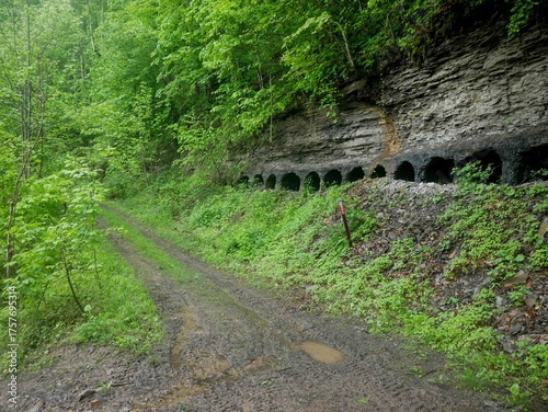 View of Coke Oven mining holes in Appalachian forest in West Virginia in Hatfield McCoy trail system in spring