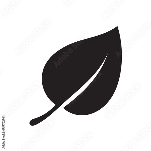 Minimalist Leaf Silhouette, Organic Nature Graphic Vector