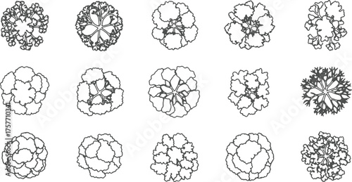 Set of Tree Top View Line Art Vector Illustration