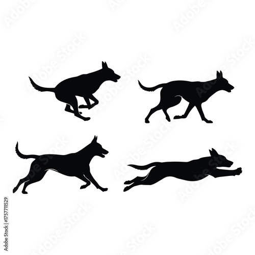 Dynamic silhouette collection four energetic dogs in motion capturing agility and speed vector