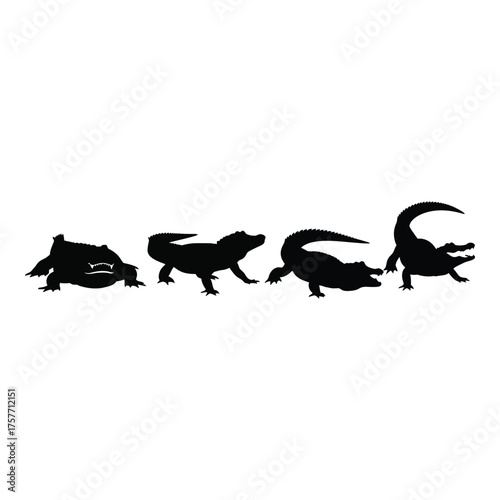Four silhouettes of crocodilians in motion diverse reptilian poses vector