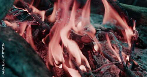 Close-Up Nordic Campfire