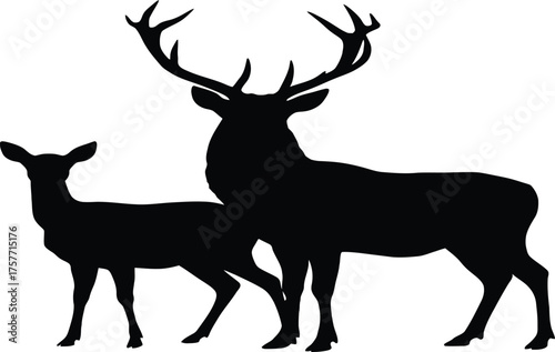 Silhouette of a male deer with large antlers standing next to a female deer.
