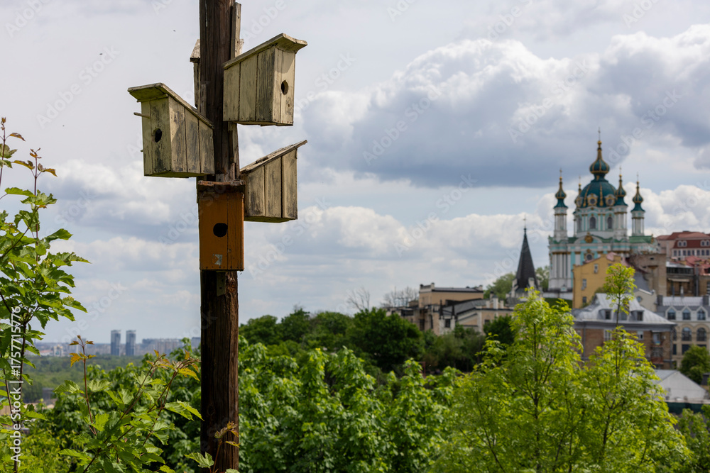 Φωτογραφία many colorful wooden birdhouses hanging in the park in spring