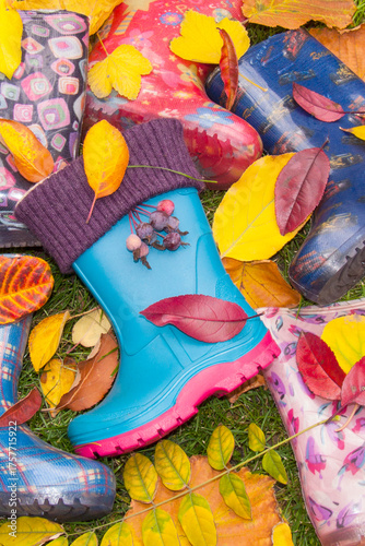 Bright blue rubber boots centered in a composition with multi-colored autumn leaves.