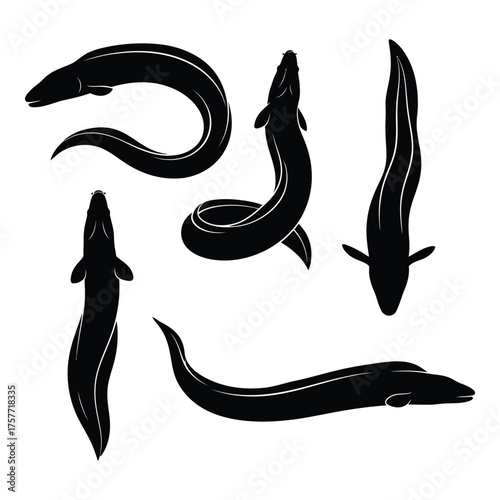 Silhouettes of eels depicting various swimming positions and body shapes vector