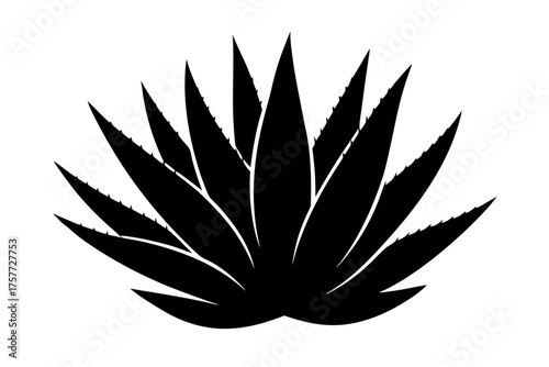 Aloe Vera silhouette vector,  Agave plant black symbol
