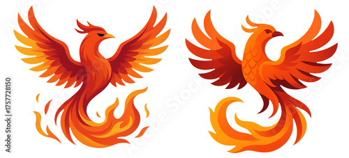 Two vibrant phoenix designs with fiery wings and detailed feather patterns