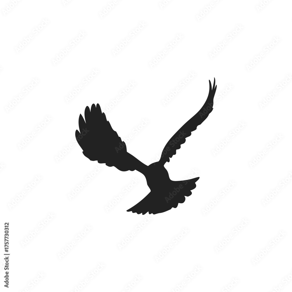 Obraz premium flying birds silhouettes
