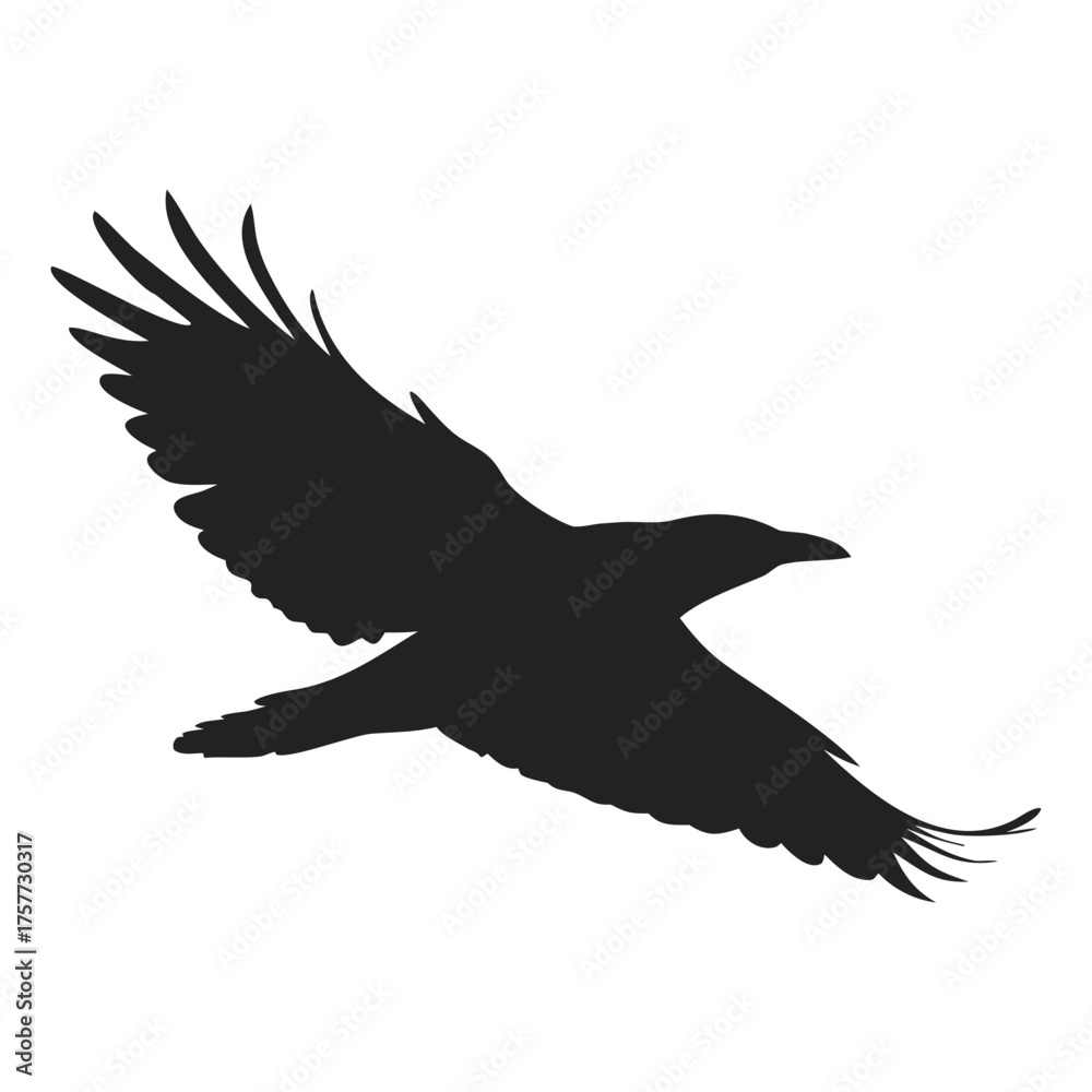 Obraz premium flying birds silhouettes