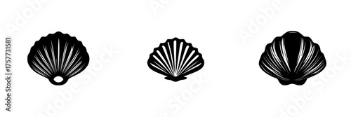 Various black shell designs showcasing unique patterns and shapes on a plain background
