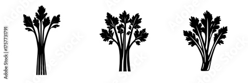 Celery bunches displayed in various styles showcasing different arrangements and shapes