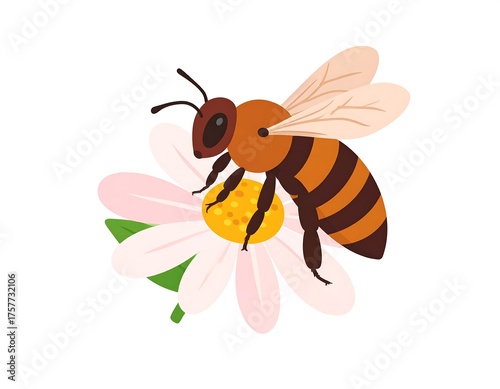 Wallpaper Mural A honeybee, striped body, lands on daisy with a bright yellow center Torontodigital.ca