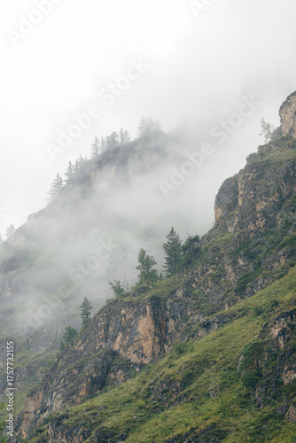 Foto Misty mountains with lush greenery and towering cliffs