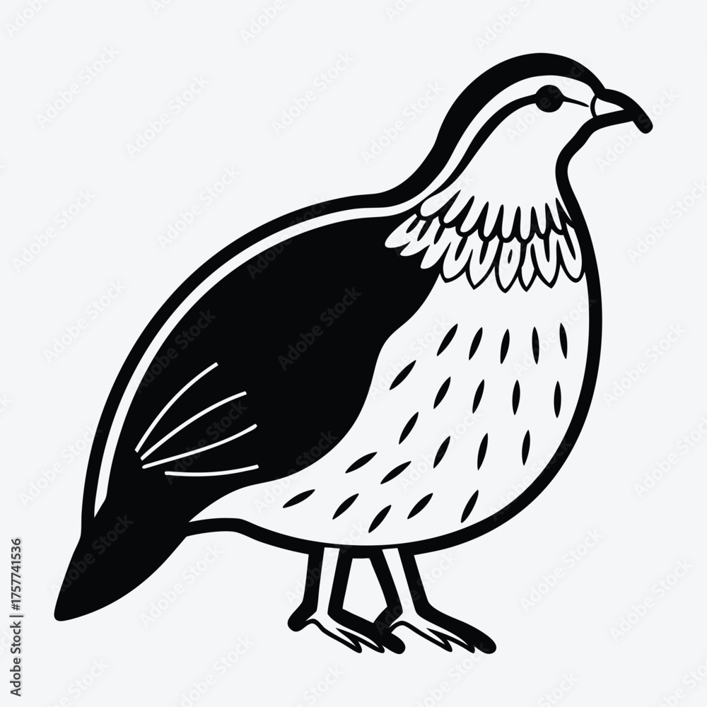 Obraz premium Quail line art White background illustration Generative Ai
