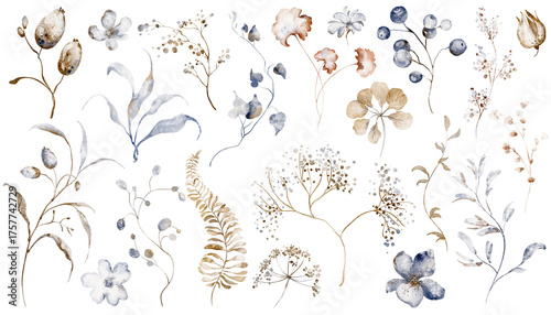 Collection of dried plants, herbs, and wildflowers in watercolor, hand-drawn with delicate details. Perfect for botanical designs, invitations, or nature-themed projects.