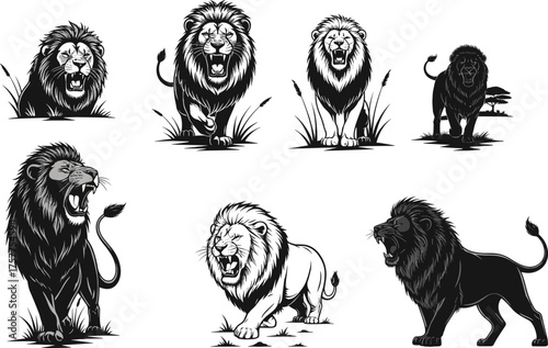 lion silhouette poses, male lion anatomy vector, wildlife expression icon set, cad drawing flat vector illustration