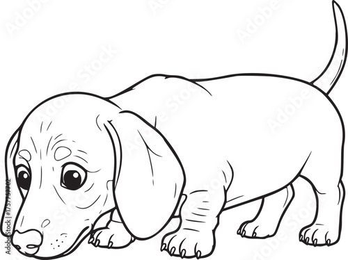 Adorable Dachshund sniffing curiously, a charming illustration perfect for children's books, pet-themed designs, or heartwarming greeting cards, originally a scalable vector graphic