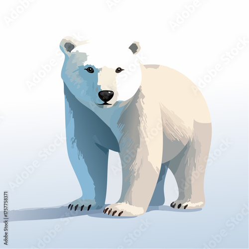 Polar bear standing on ice