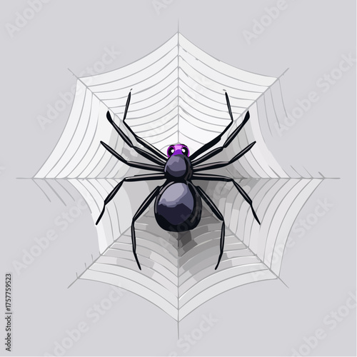 black spider on white spider web