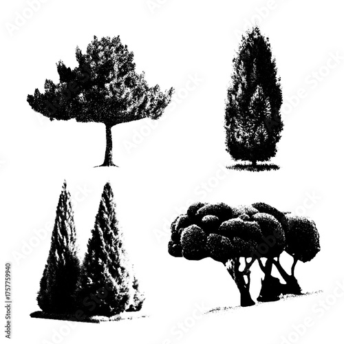 A black and white graphic image of a cypress tree. A set of isolated black vector silhouettes of various cypress patterns on a white background.