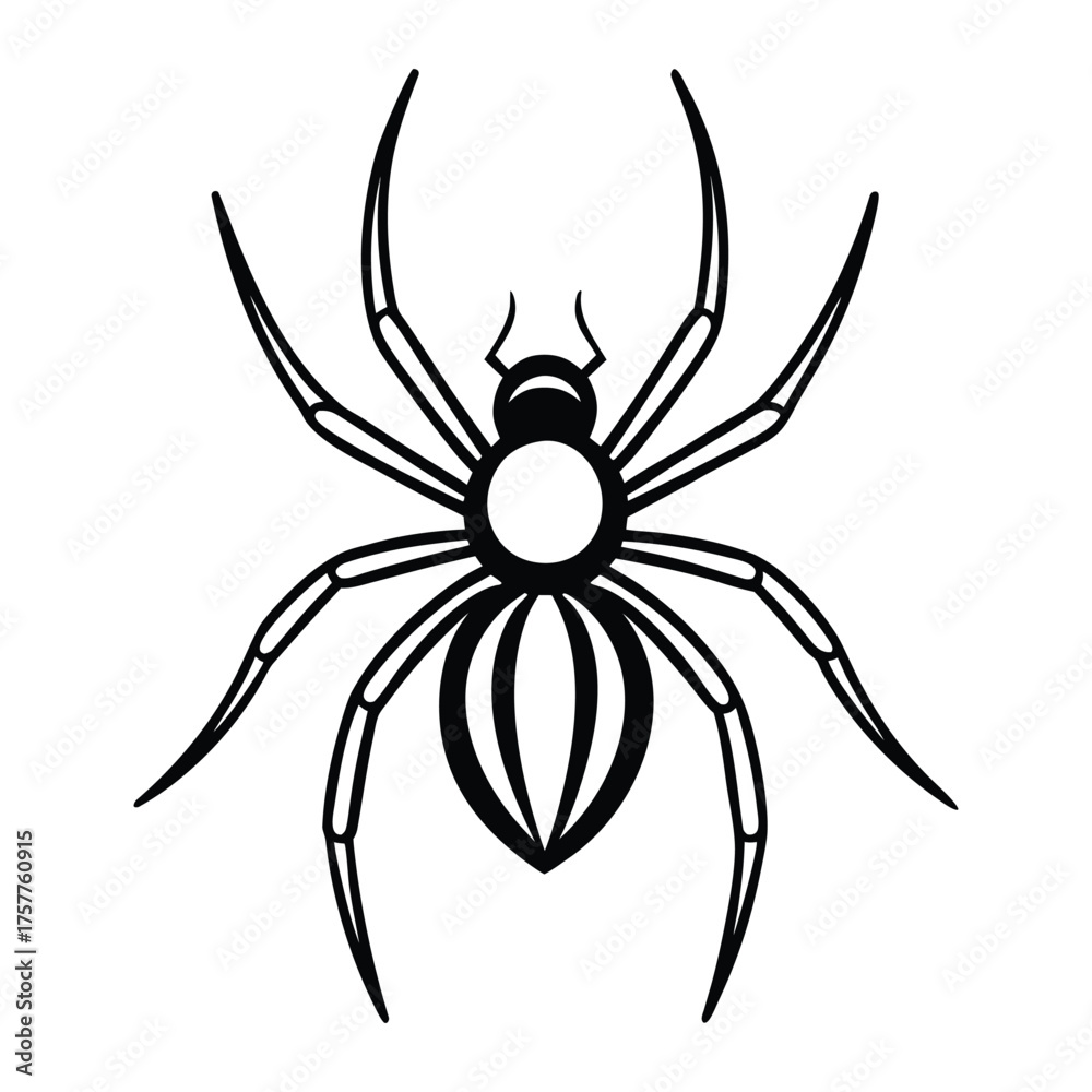Obraz premium Spider vector illustration with eight legs in minimalist black design