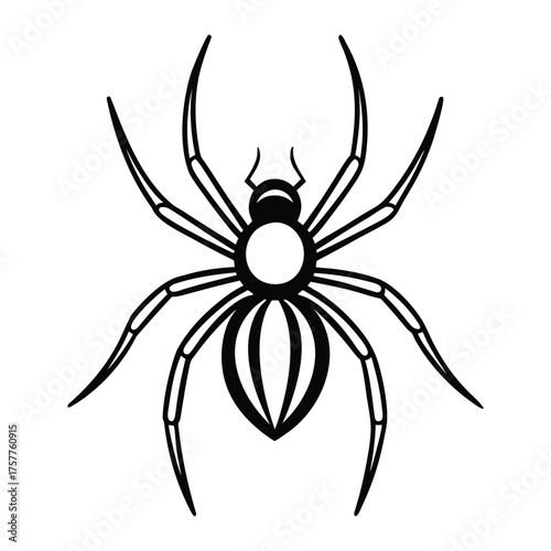 Spider vector illustration with eight legs in minimalist black design