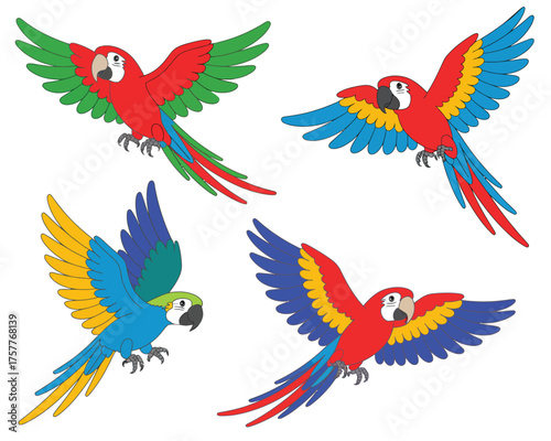 Four colorful macaws flying with wings spread wide