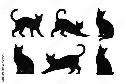 Collection of black cat silhouettes in various poses