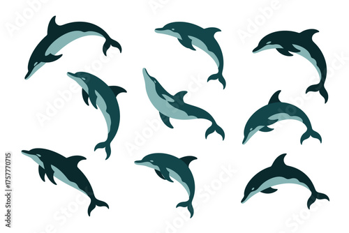 Collection of playful dolphins leaping and swimming in the ocean