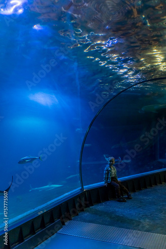 Young boy sits inside a large underwater glass tunnel at the aquarium, surrounded by deep blue water. Concept of childhood curiosity, marine education, and immersive experiences.