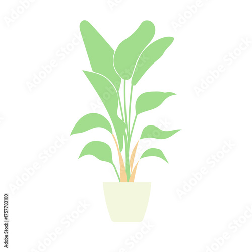 大きな葉が特徴の観葉植物の鉢植えイラスト｜ナチュラルでモダンな雰囲気がインテリアやカフェ装飾に適したボタニカルデザイン