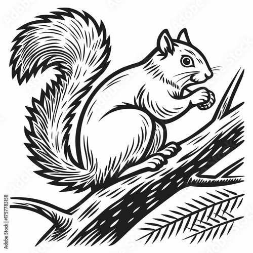 Curious Squirrel in Vintage Woodcut Engraving Style Vector Illustration