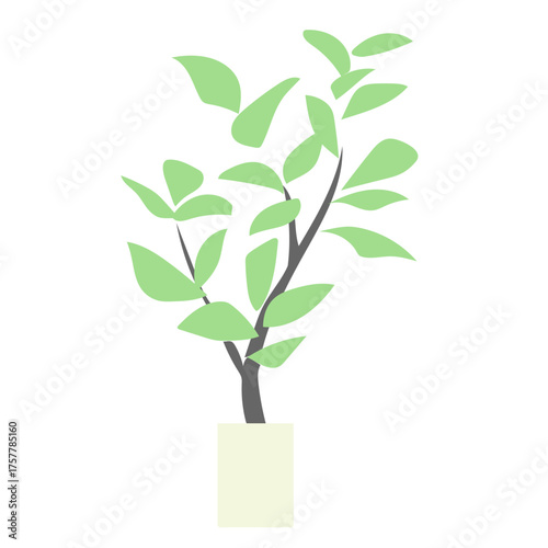 直線的な枝と柔らかい葉が調和する観葉植物の鉢植えイラスト｜ナチュラルでスタイリッシュな雰囲気がインテリアやカフェ装飾に適したデザイン