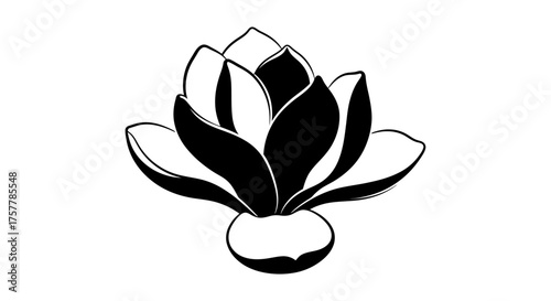 Black and white drawing of a stylized flower with petals radiating from a bulbous base