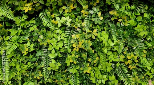 Artificial green plants with bright leaves forming dense wall texture
