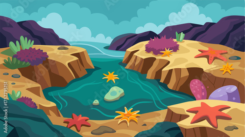 Amidst the rugged rocks small tide pools form revealing an abundance of colorful sea anemones and starfish.