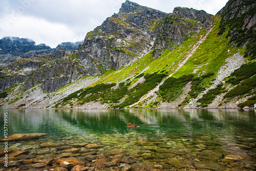 tatry w odbiciu lustrzanym