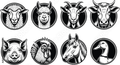 Farm animal vector, sheep alpaca goat cow pig rooster horse duck, black and white sketch, circular icon illustration set