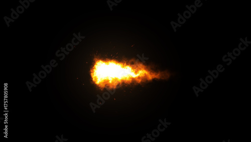 Tableau sur toile Muzzle Flash