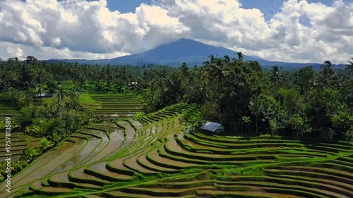 Enchanting Aerial View of Belimbing Rice Terraces – Hidden Paradise in Pupuan, Tabanan Bali