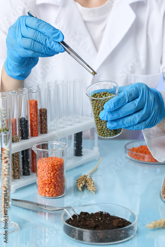 Agronomist working with seed sample in laboratory
