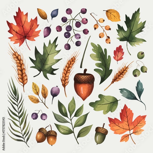 Thanksgiving bundle Watercolor autumn elements collection with leaves acorns and berries