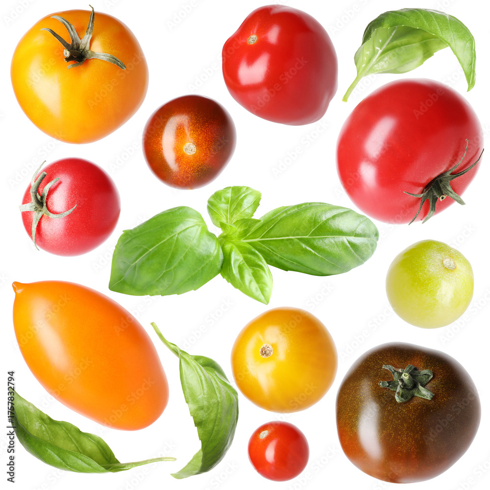 Obraz premium Different fresh tomatoes and green basil isolated on white, set