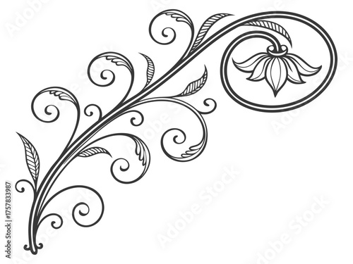 abstract floral background with butterflies floral, pattern, illustration, nature, silhouette, black, spring, decor, ornate, tattoo, card, vintage, butterfly, scroll, plant, swirl, flower, ornament, l