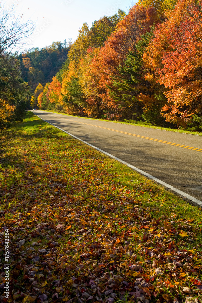Obraz premium Autumn, Foothills Parkway, East TN