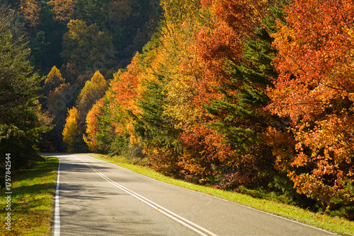 Autumn, Foothills Parkway, East TN