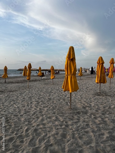 beach chairs and umbrellas