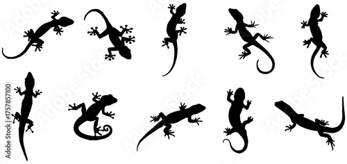 gecko animal silhouette vector set design